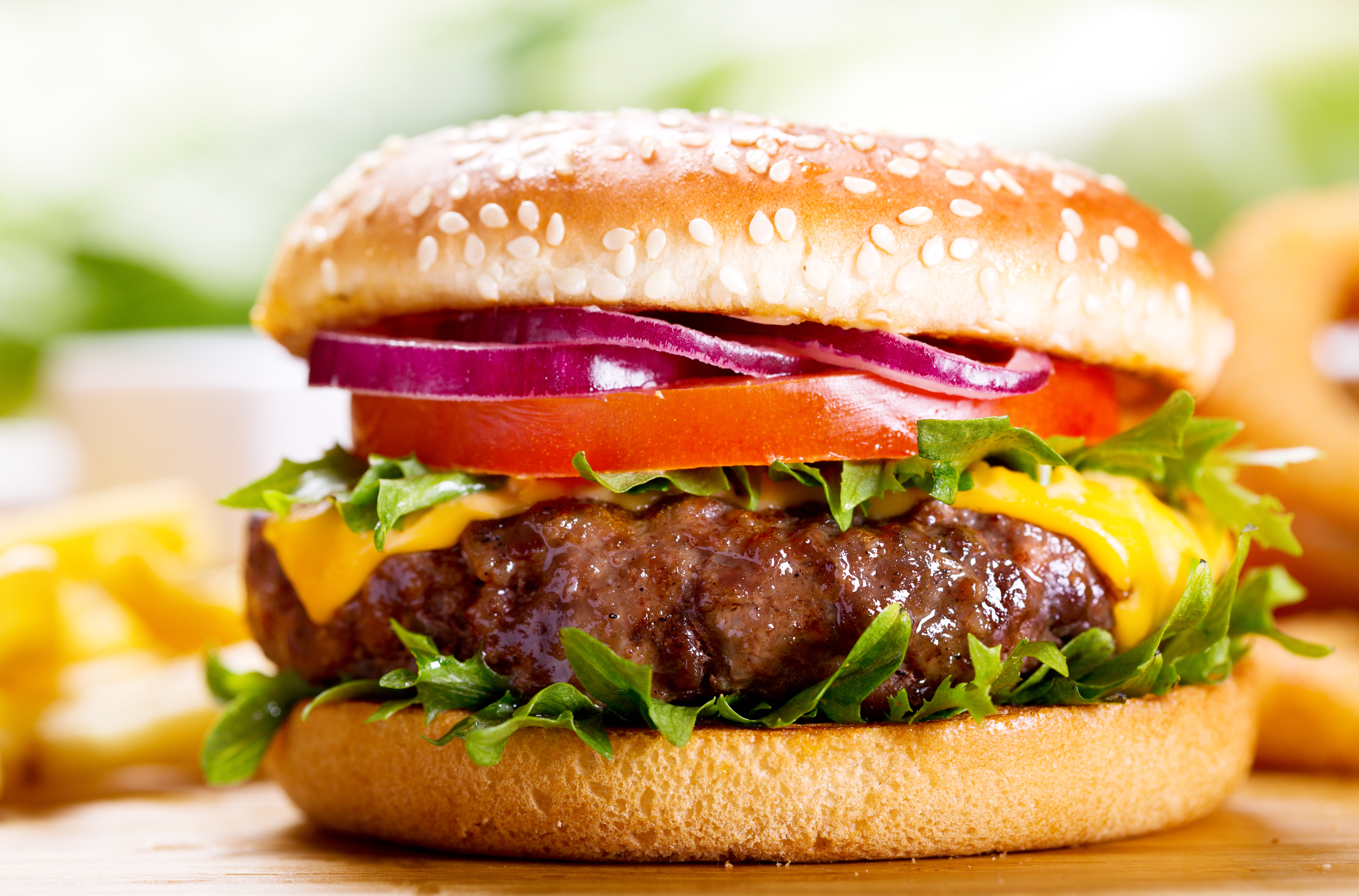 juicy cheeseburger with fries