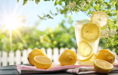 11 Unsweetened Truths About Lemonade Nutrition Facts 