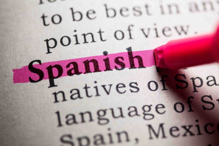 spanish word highlighted in pink in dictonary