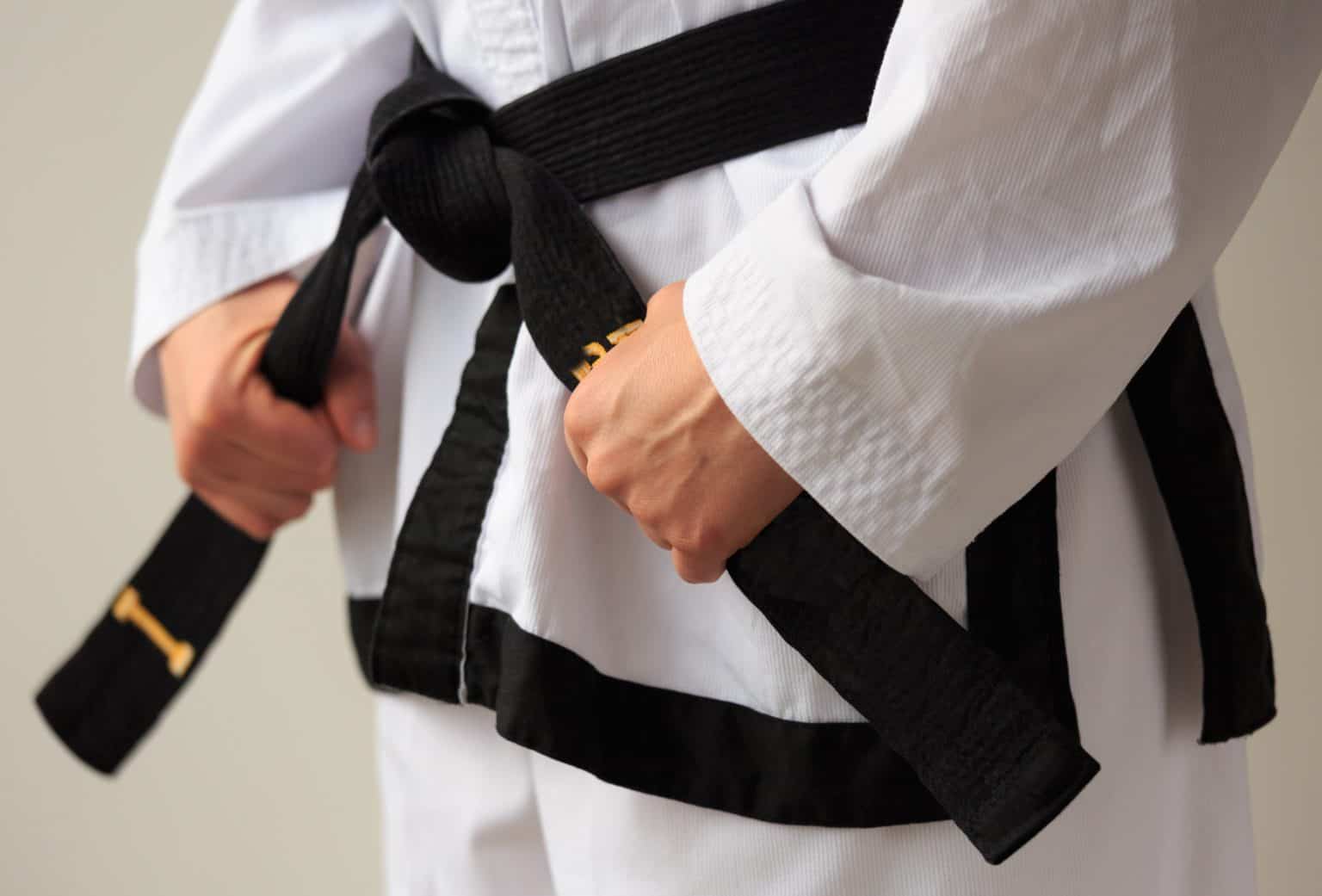 Color Black belt main image 0