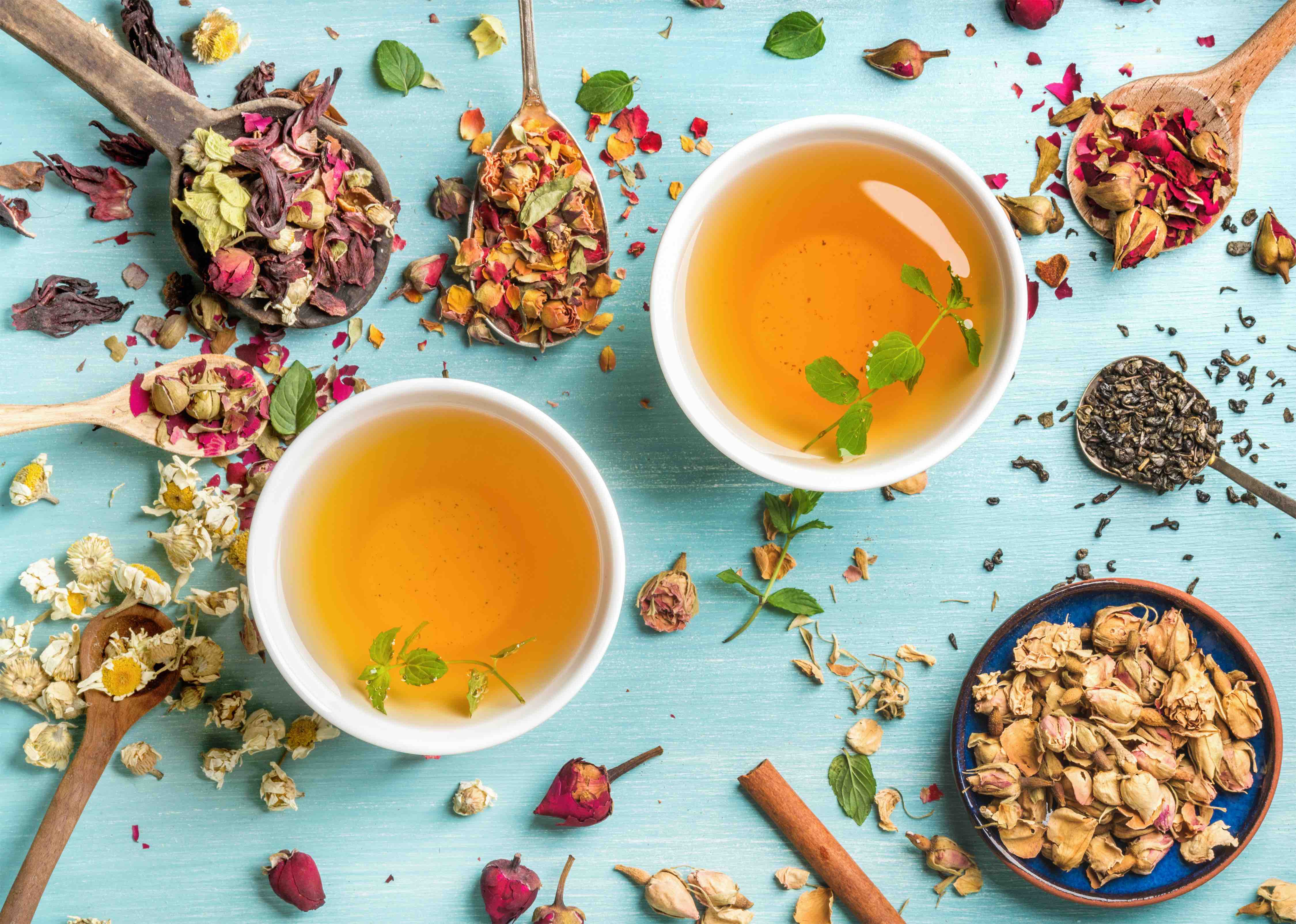 8 steam herbal tea breathe freely фото 20