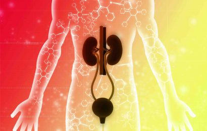 The Bodys Unsung Hero 15 Facts About the Excretory System 