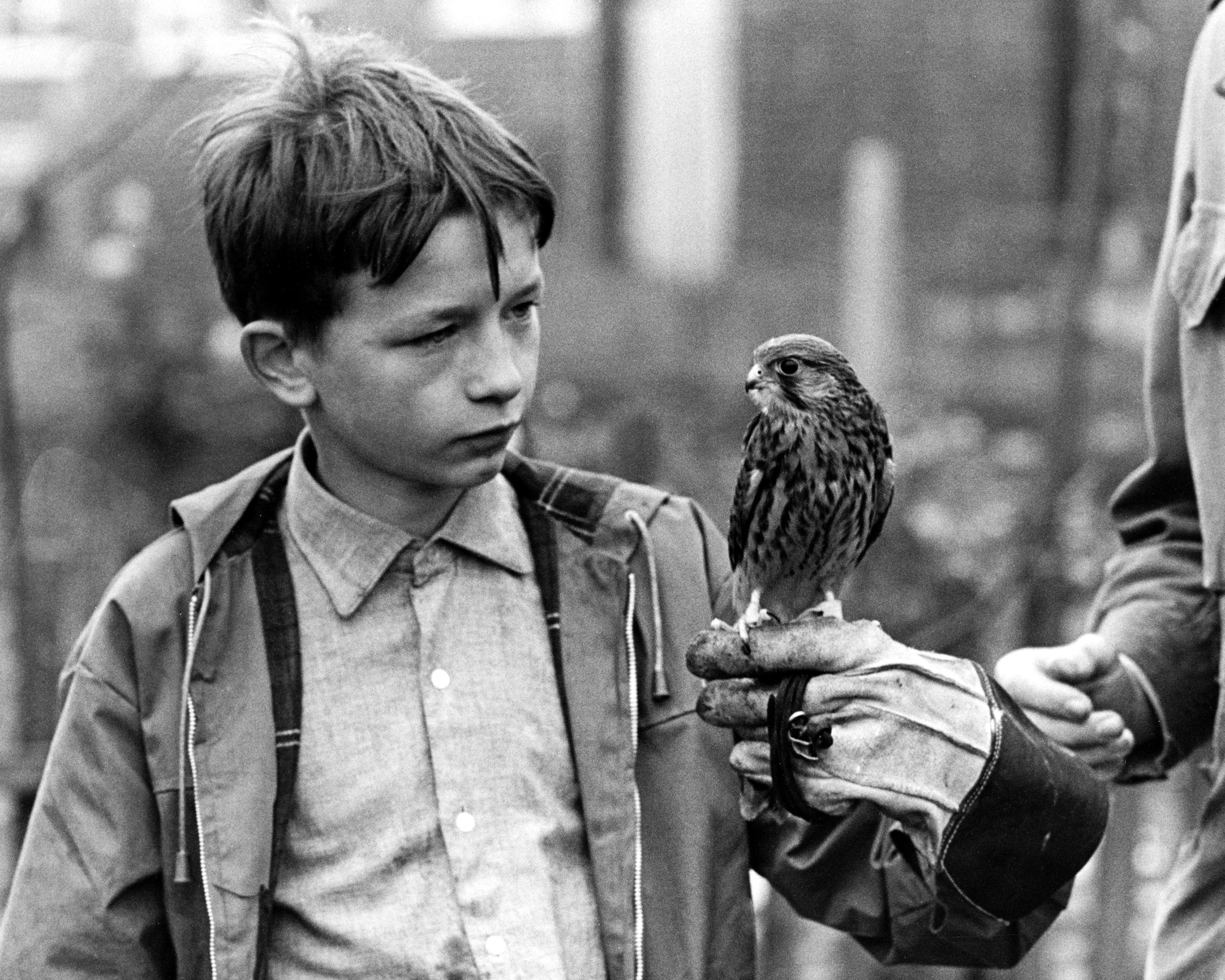 30-facts-about-the-movie-kes