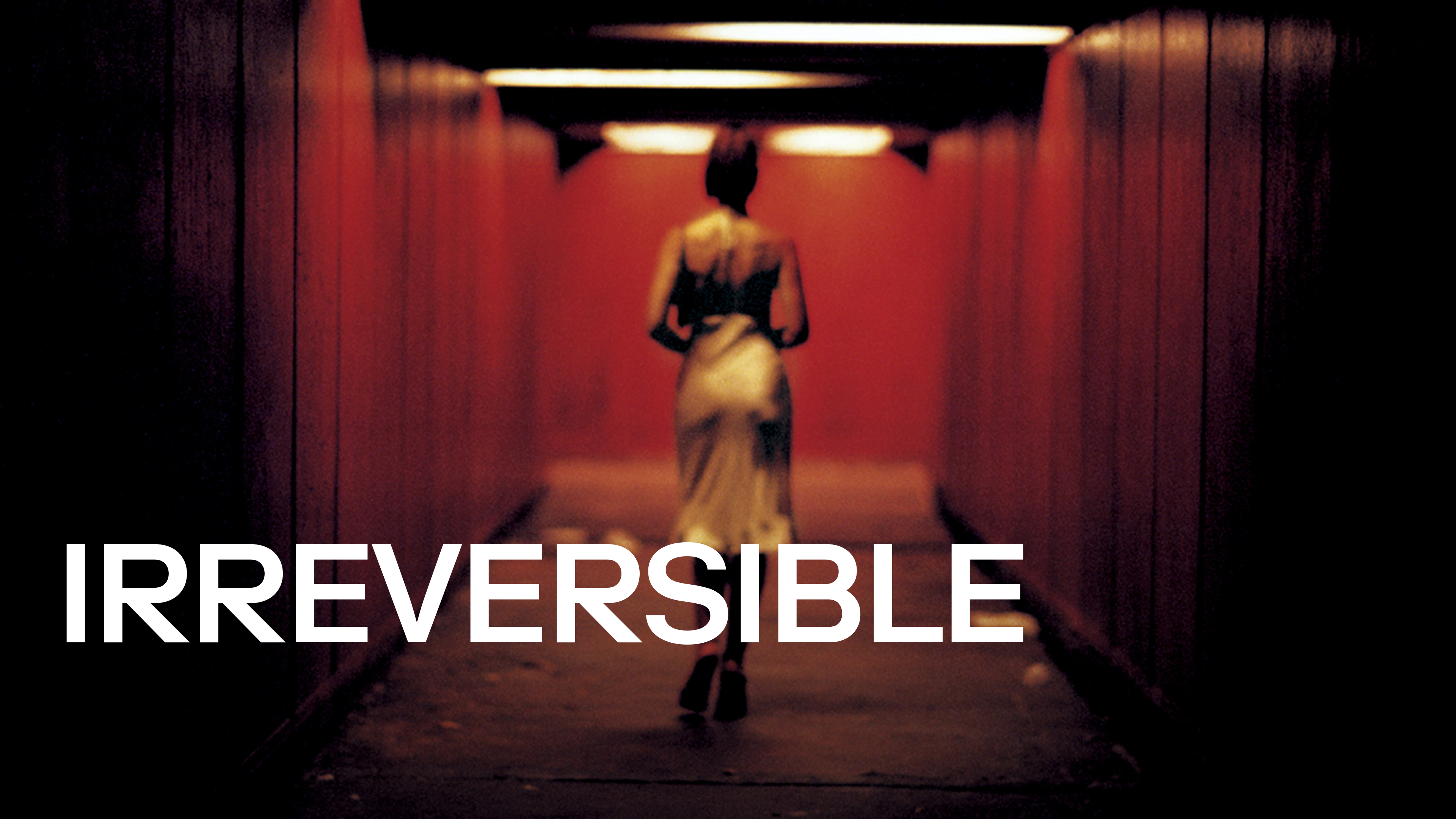 32-facts-about-the-movie-irreversible