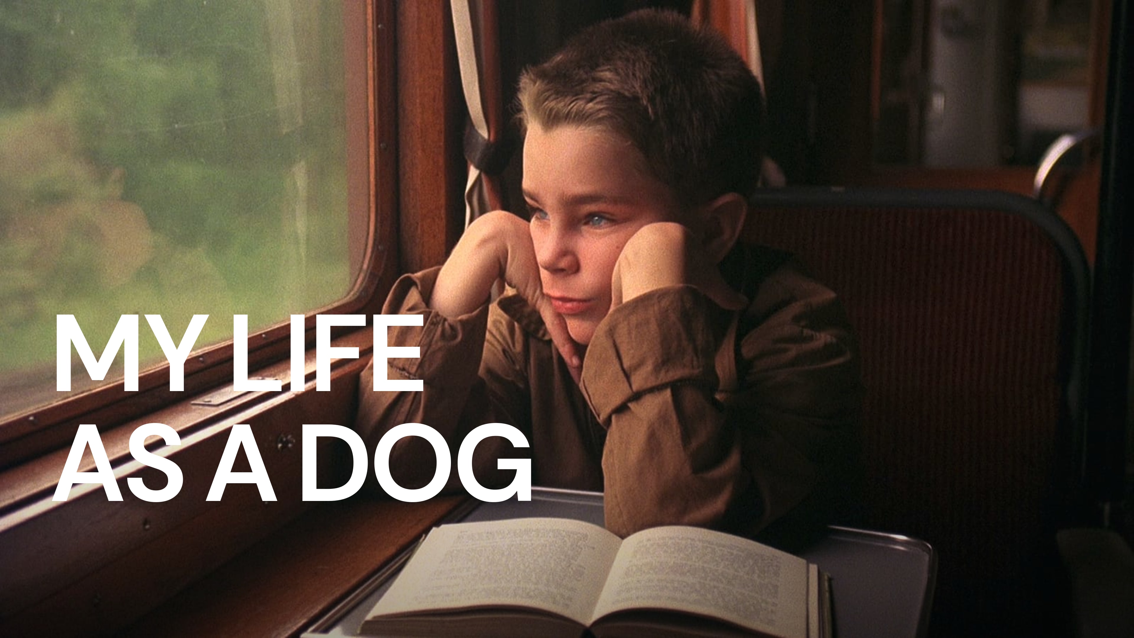 32-facts-about-the-movie-my-life-as-a-dog