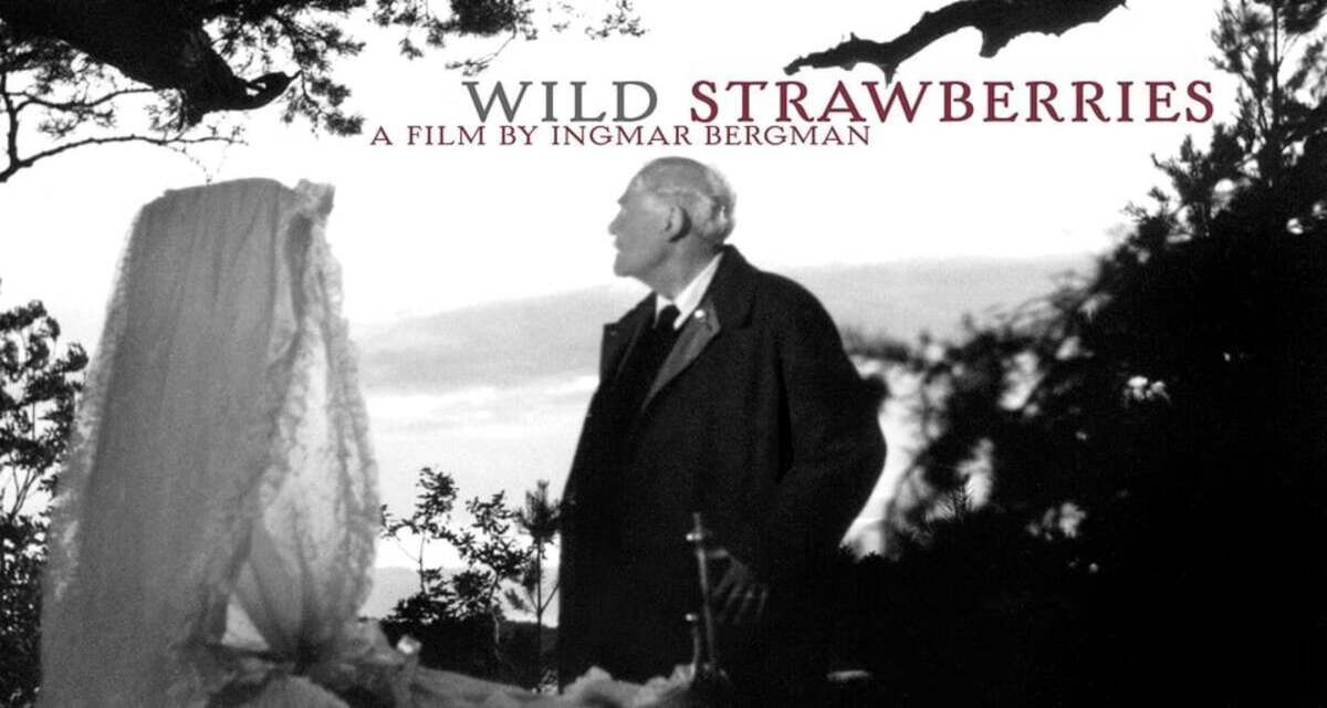 33-facts-about-the-movie-wild-strawberries