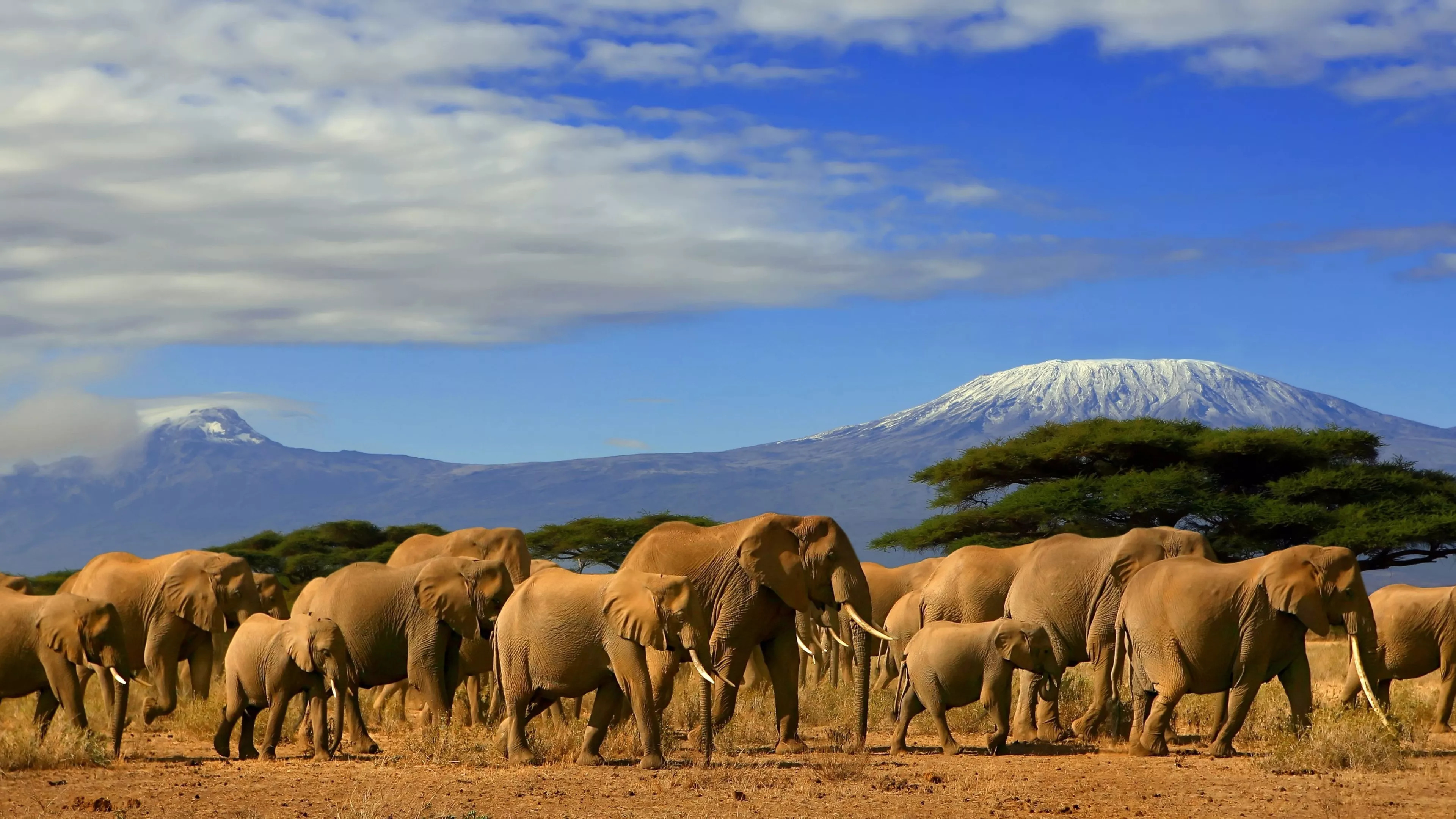 34-facts-about-kenya