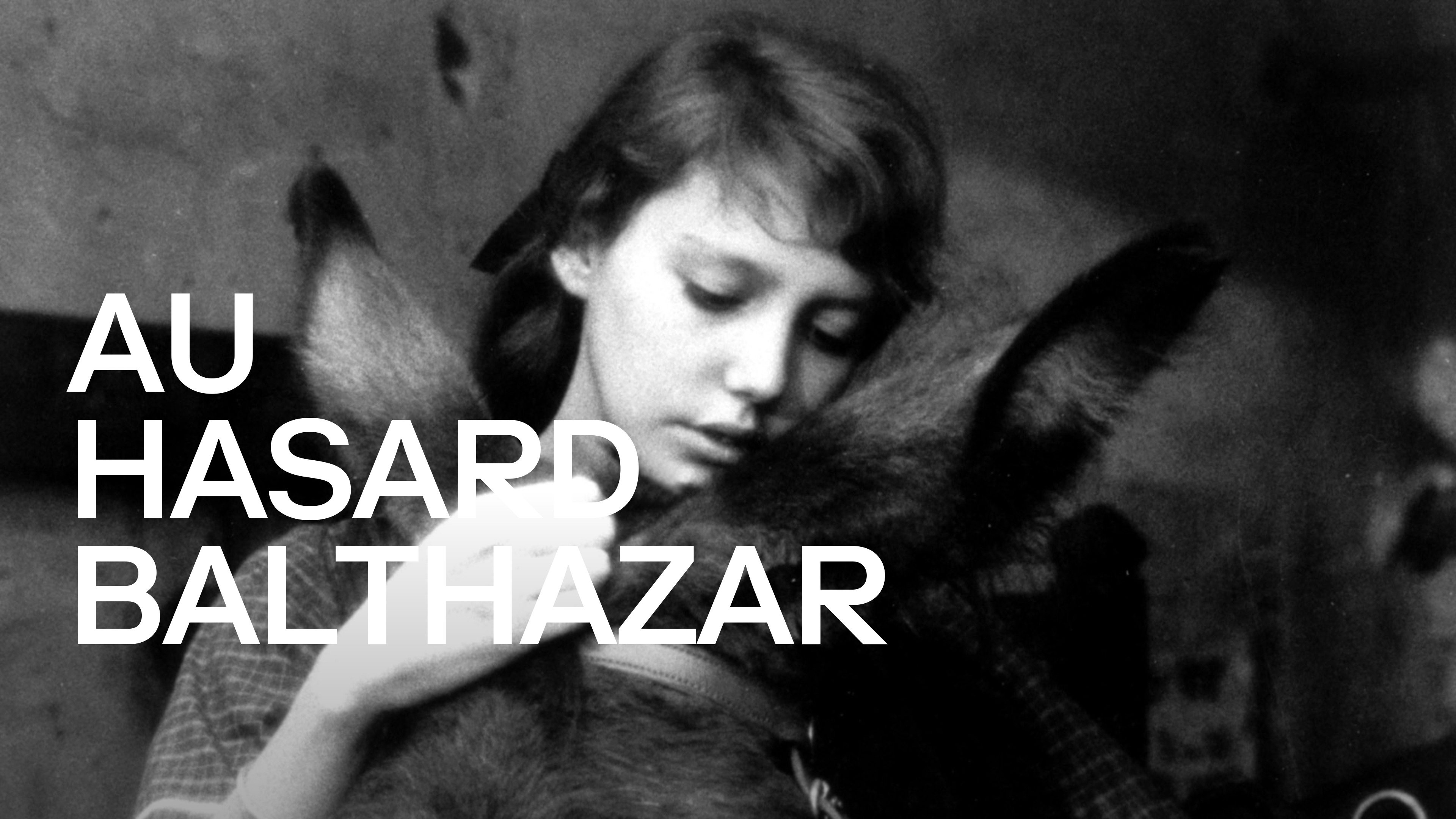 34 Facts about the movie Au Hasard Balthazar - Facts.net