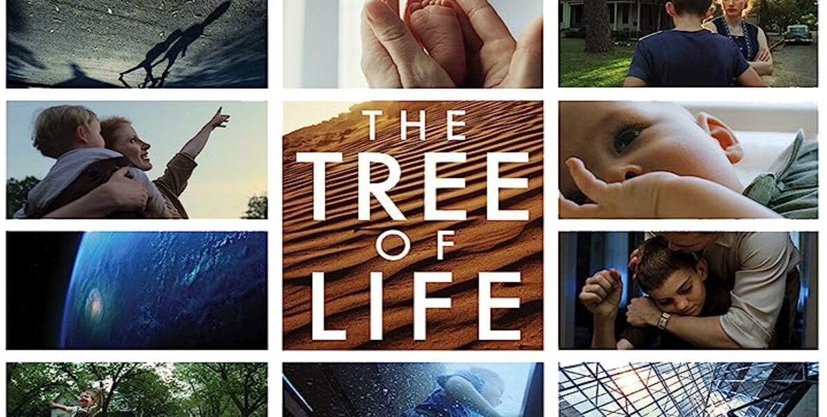 36-facts-about-the-movie-the-tree-of-life