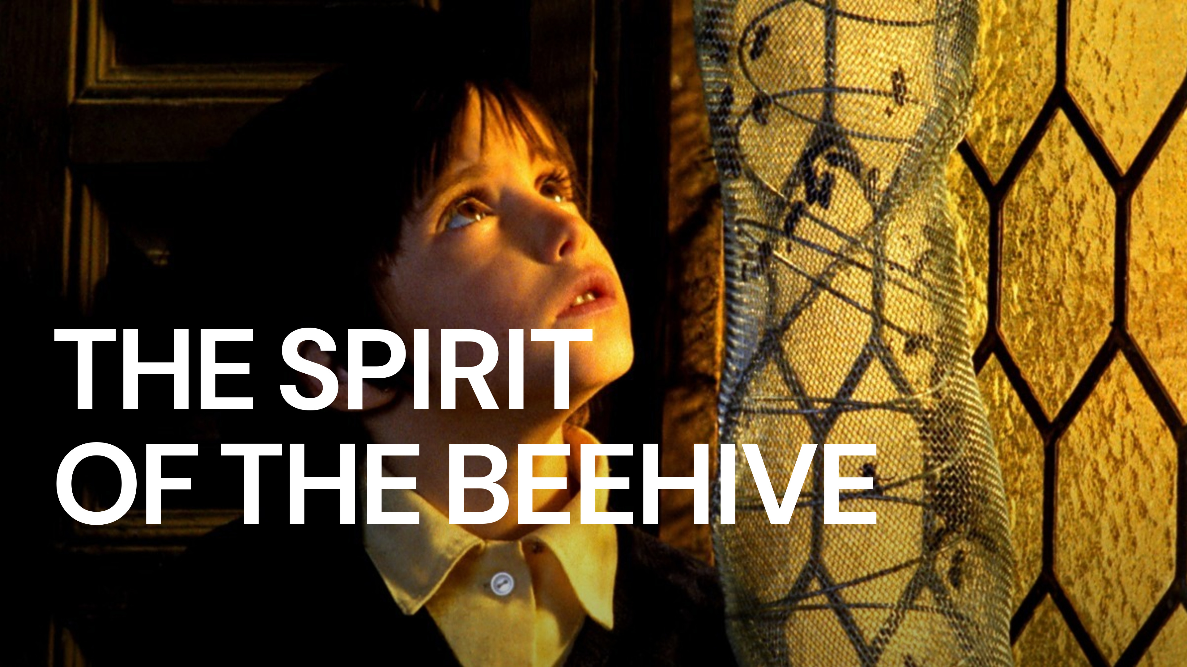 37-facts-about-the-movie-the-spirit-of-the-beehive