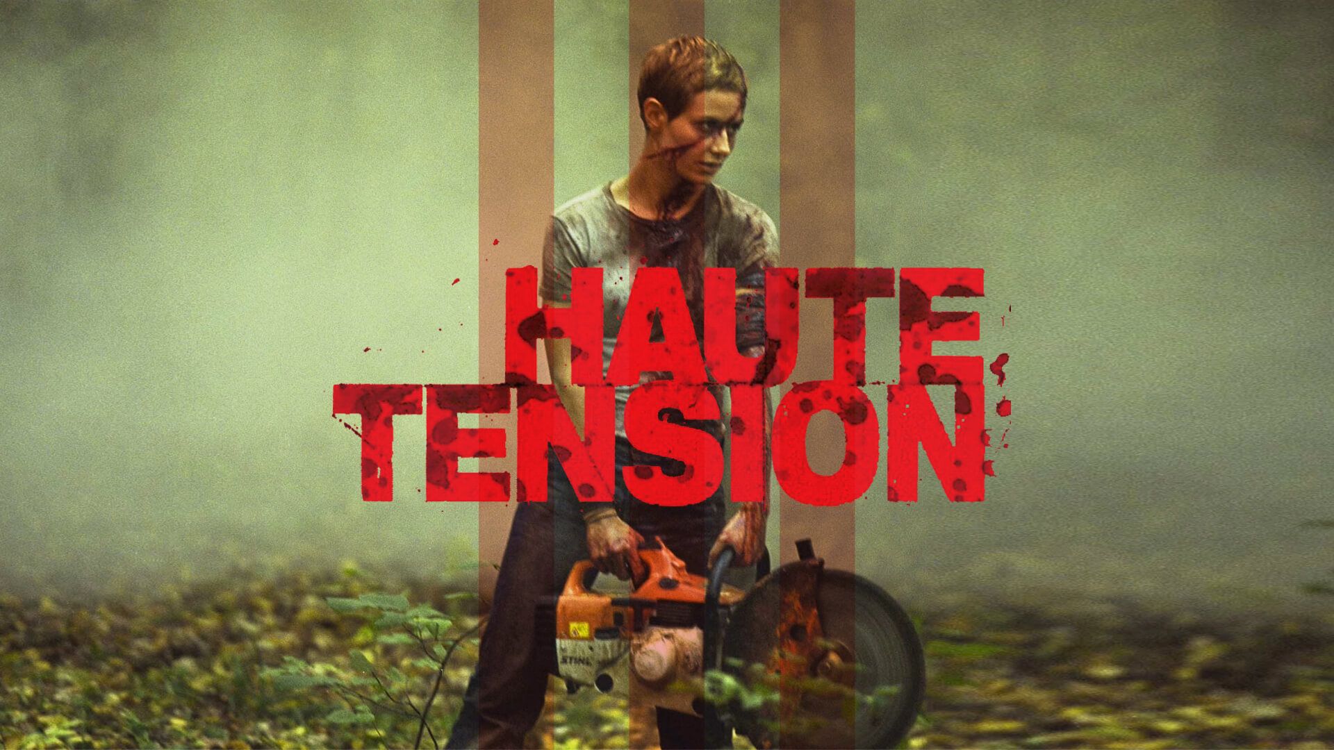 39-facts-about-the-movie-high-tension