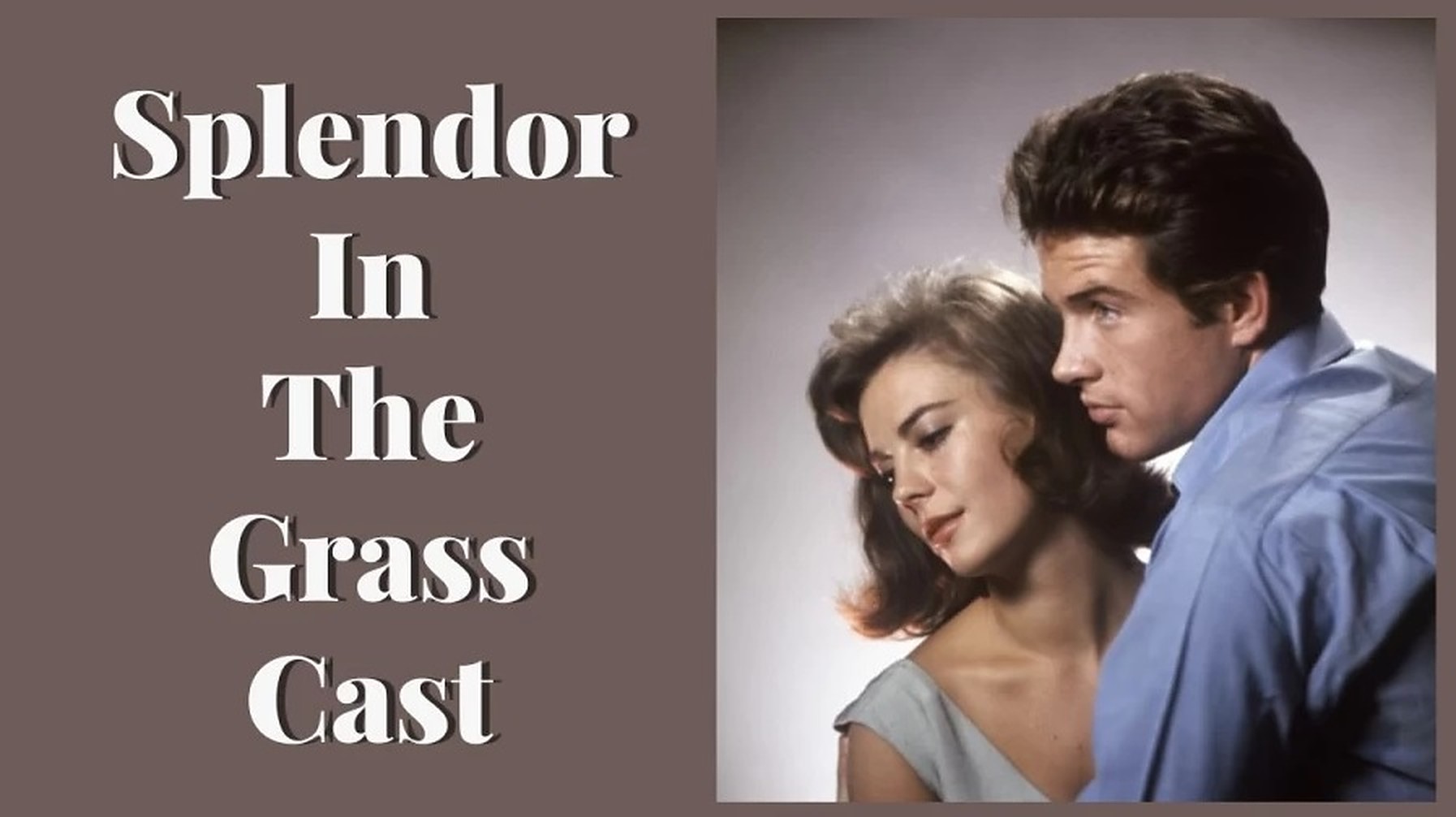 39-facts-about-the-movie-splendor-in-the-grass