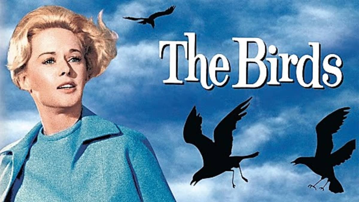 39-facts-about-the-movie-the-birds