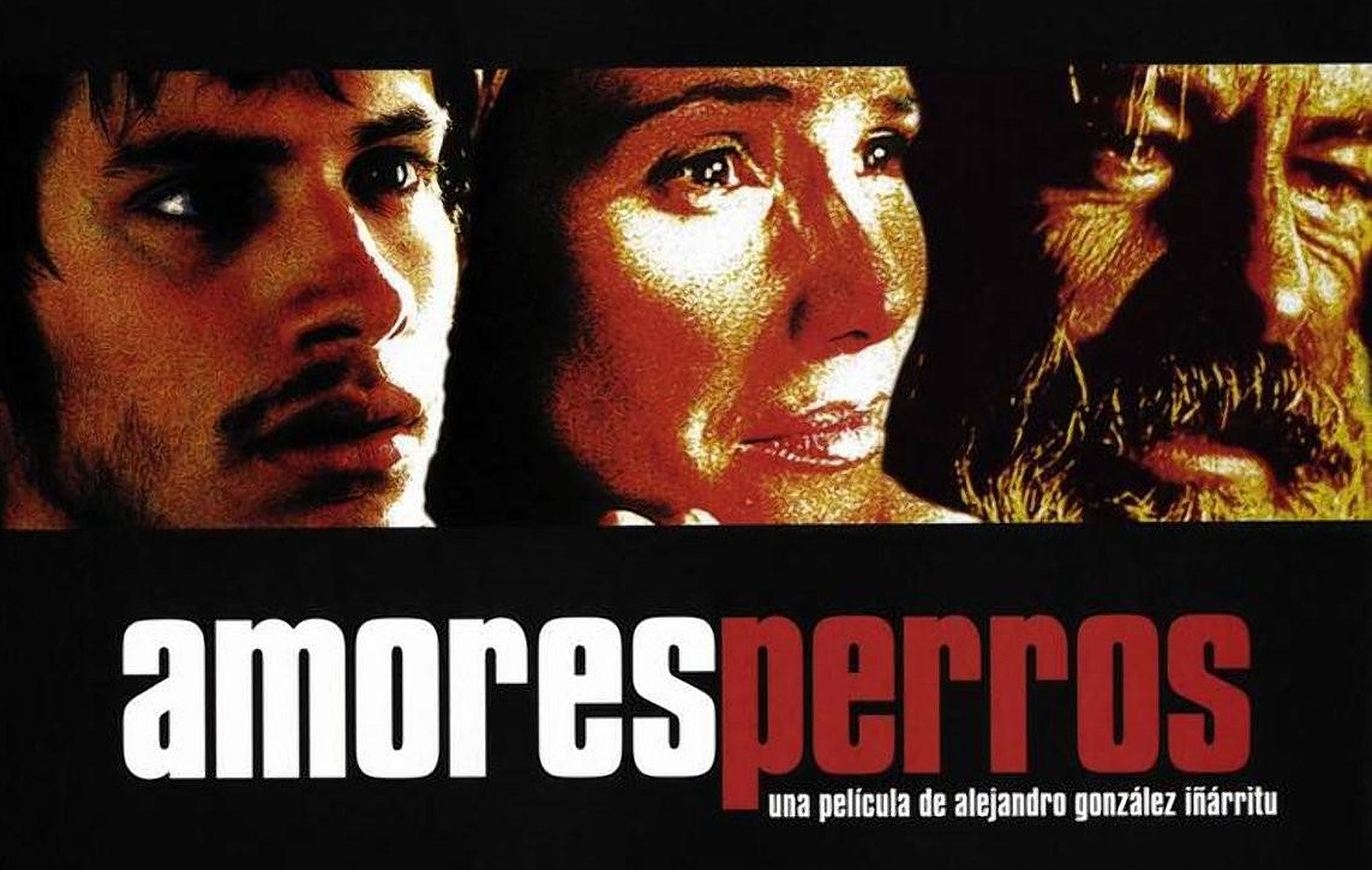 41-facts-about-the-movie-amores-perros