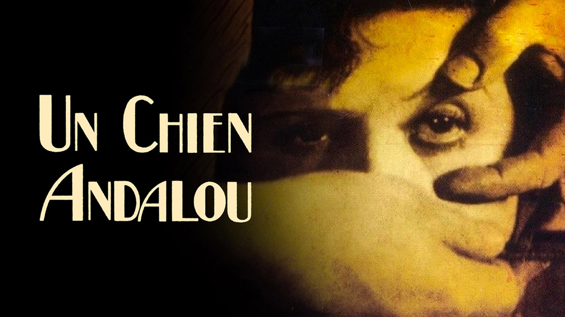 43-facts-about-the-movie-un-chien-andalou