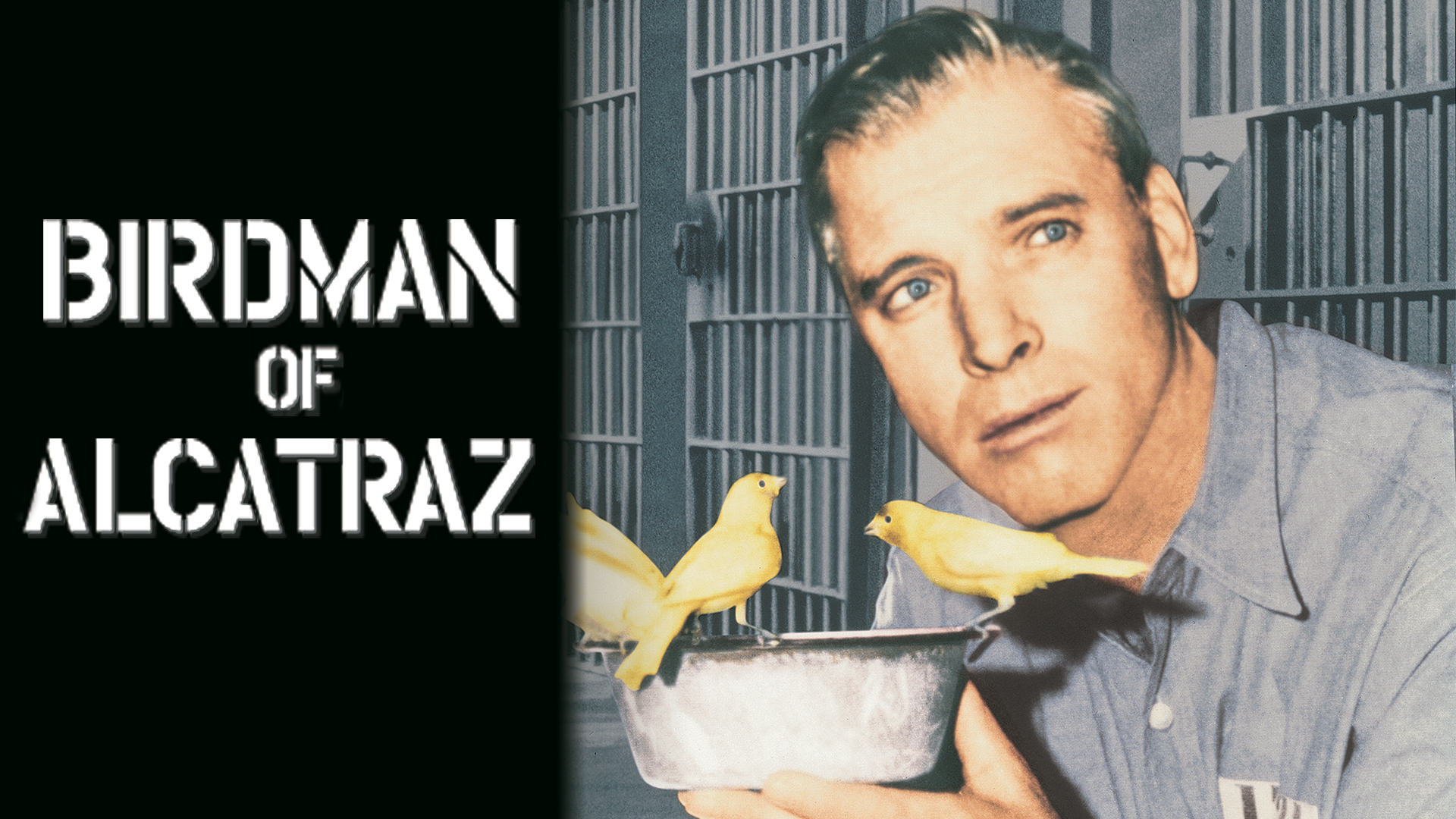 45-facts-about-the-movie-birdman-of-alcatraz