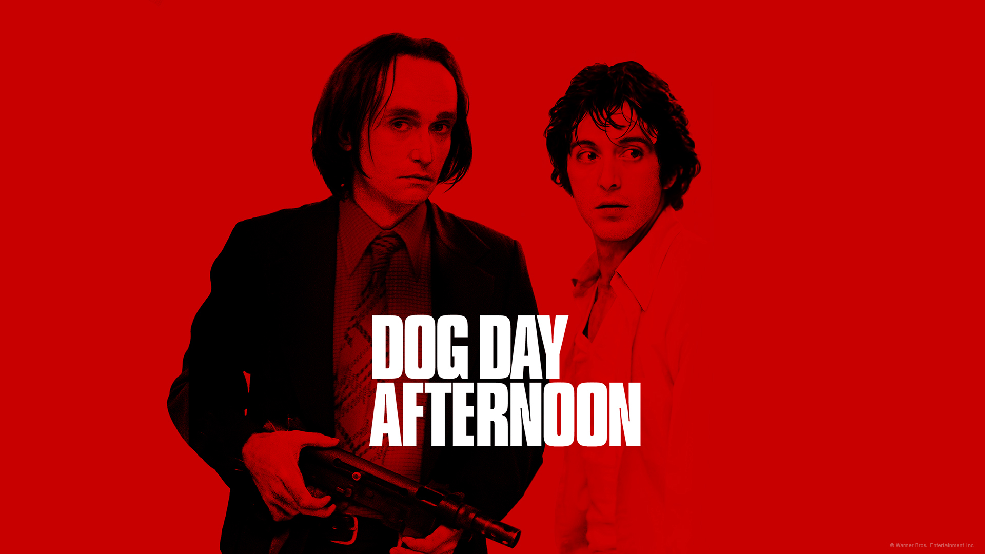 45-facts-about-the-movie-dog-day-afternoon