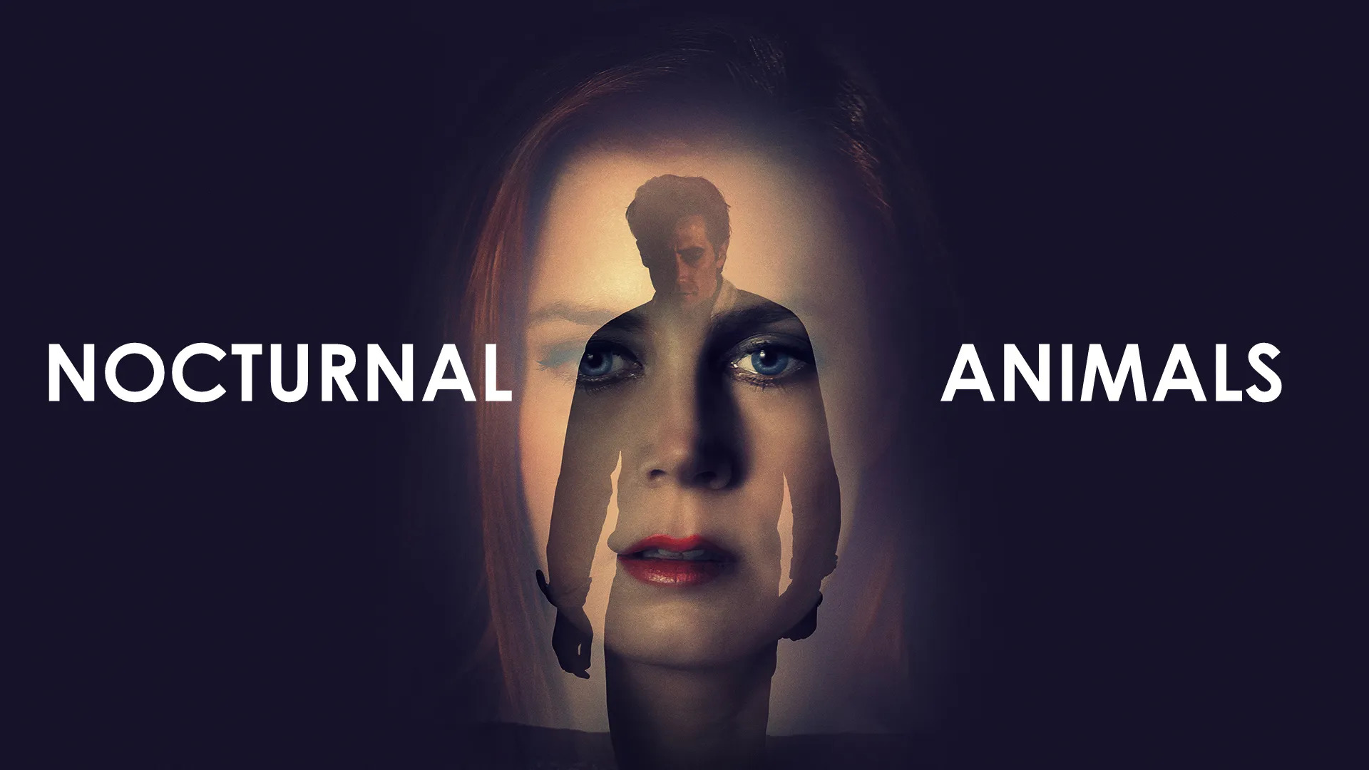 45-facts-about-the-movie-nocturnal-animals