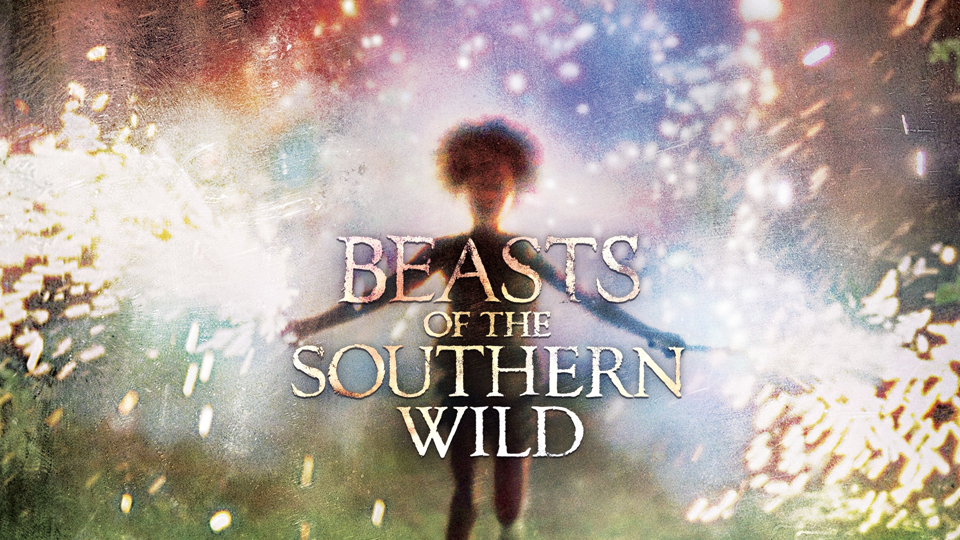 47-facts-about-the-movie-beasts-of-the-southern-wild