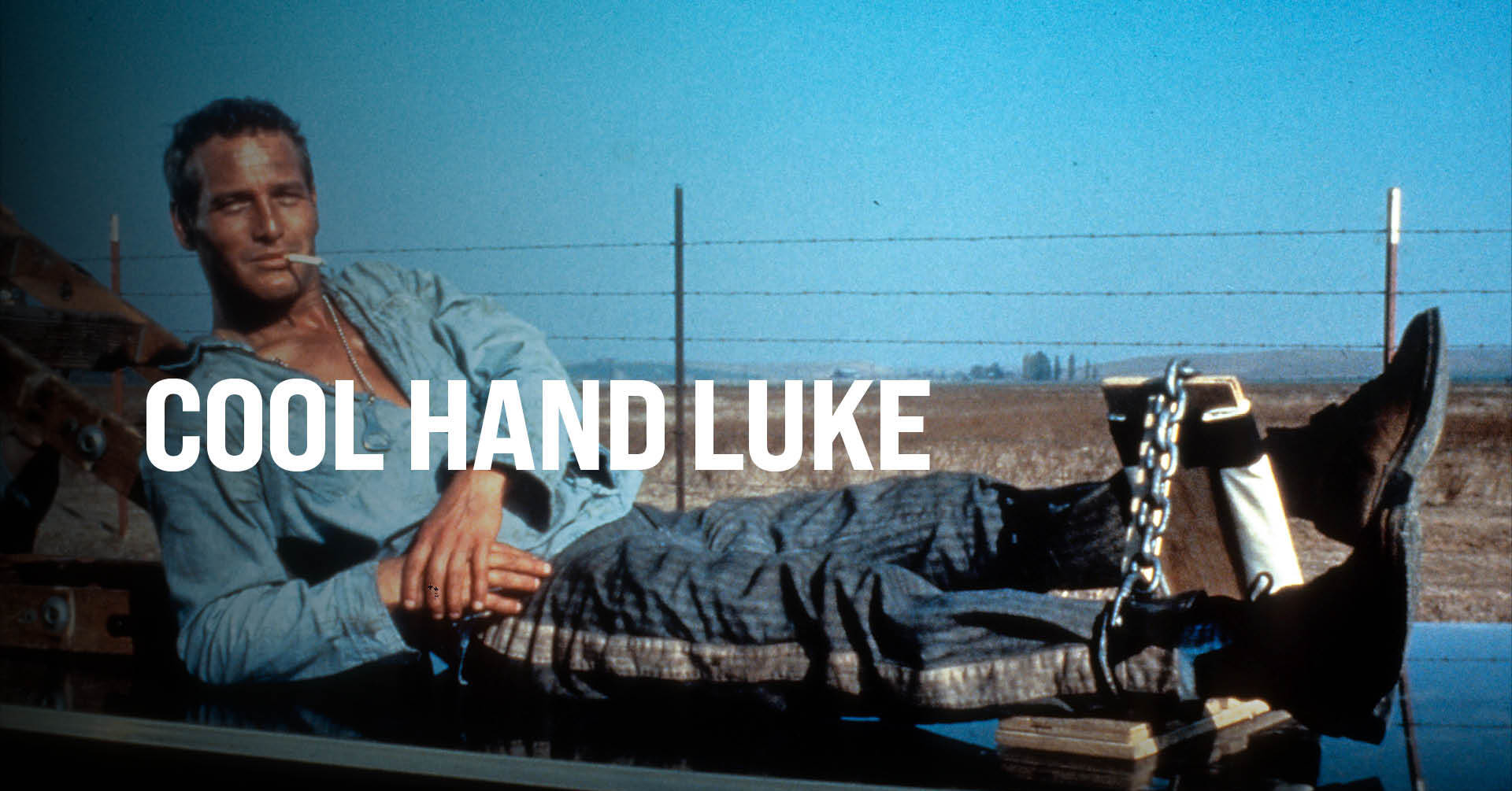 48-facts-about-the-movie-cool-hand-luke