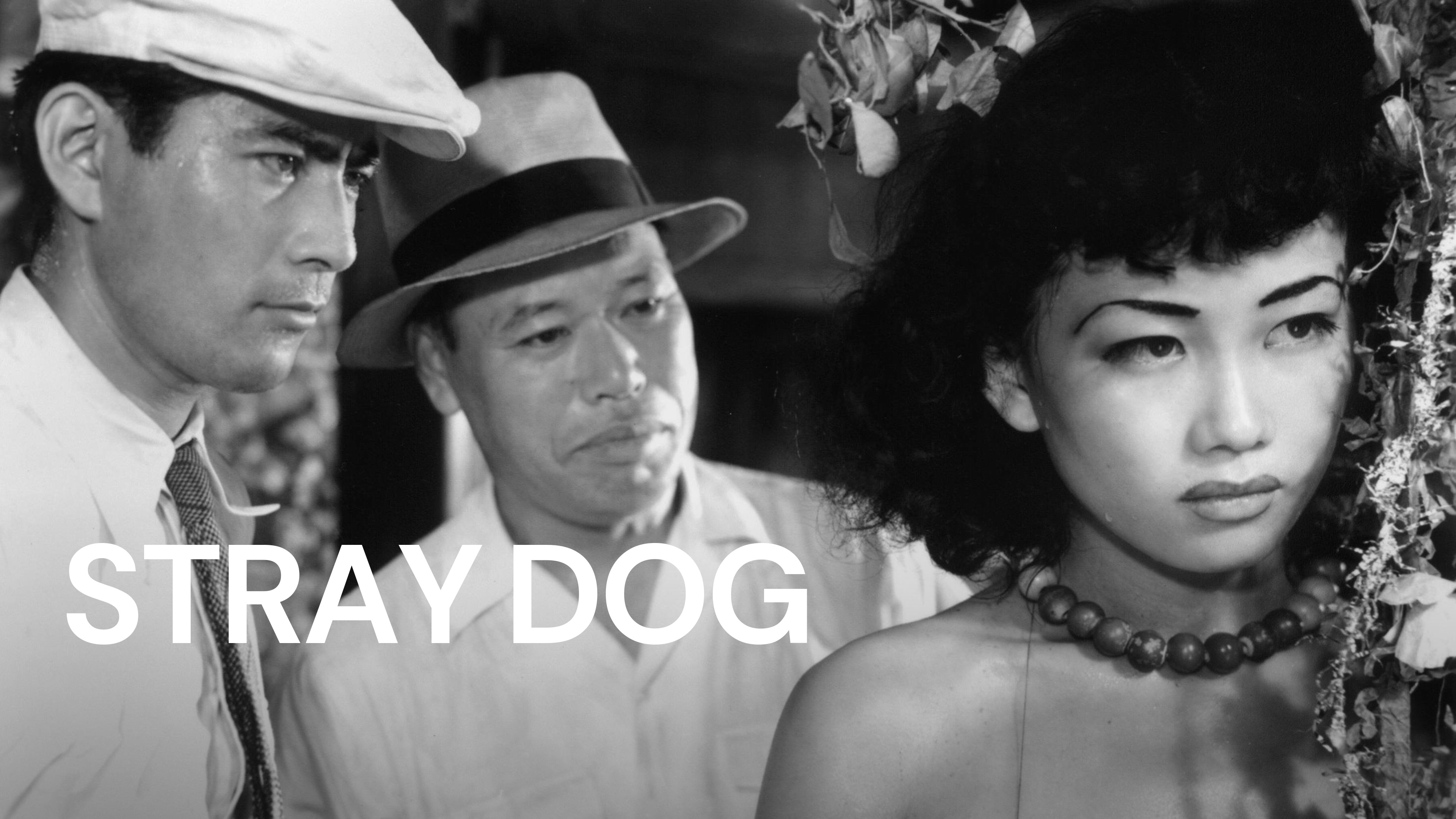 48-facts-about-the-movie-stray-dog