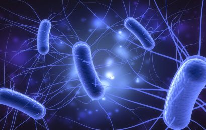 55 Bacteria Facts You Cannot Miss - Facts.net