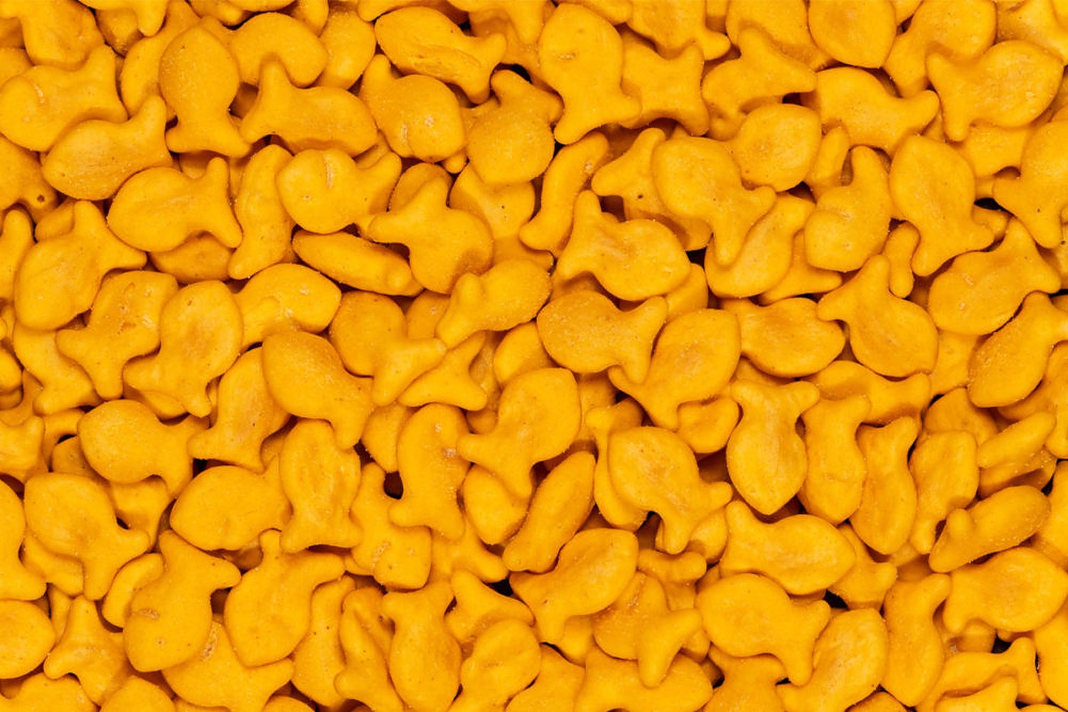 20 Goldfish Crackers Nutritional Facts - Facts.net