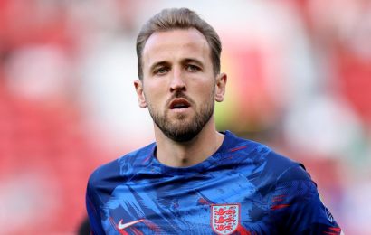 Harry Kane Facts 18 Intriguing Insights into the Accomplished Footballer 