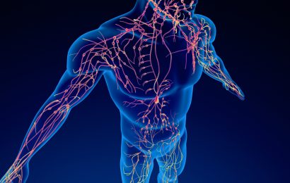 12 Lymphatic System Facts Vital Functions of this Crucial Body System 