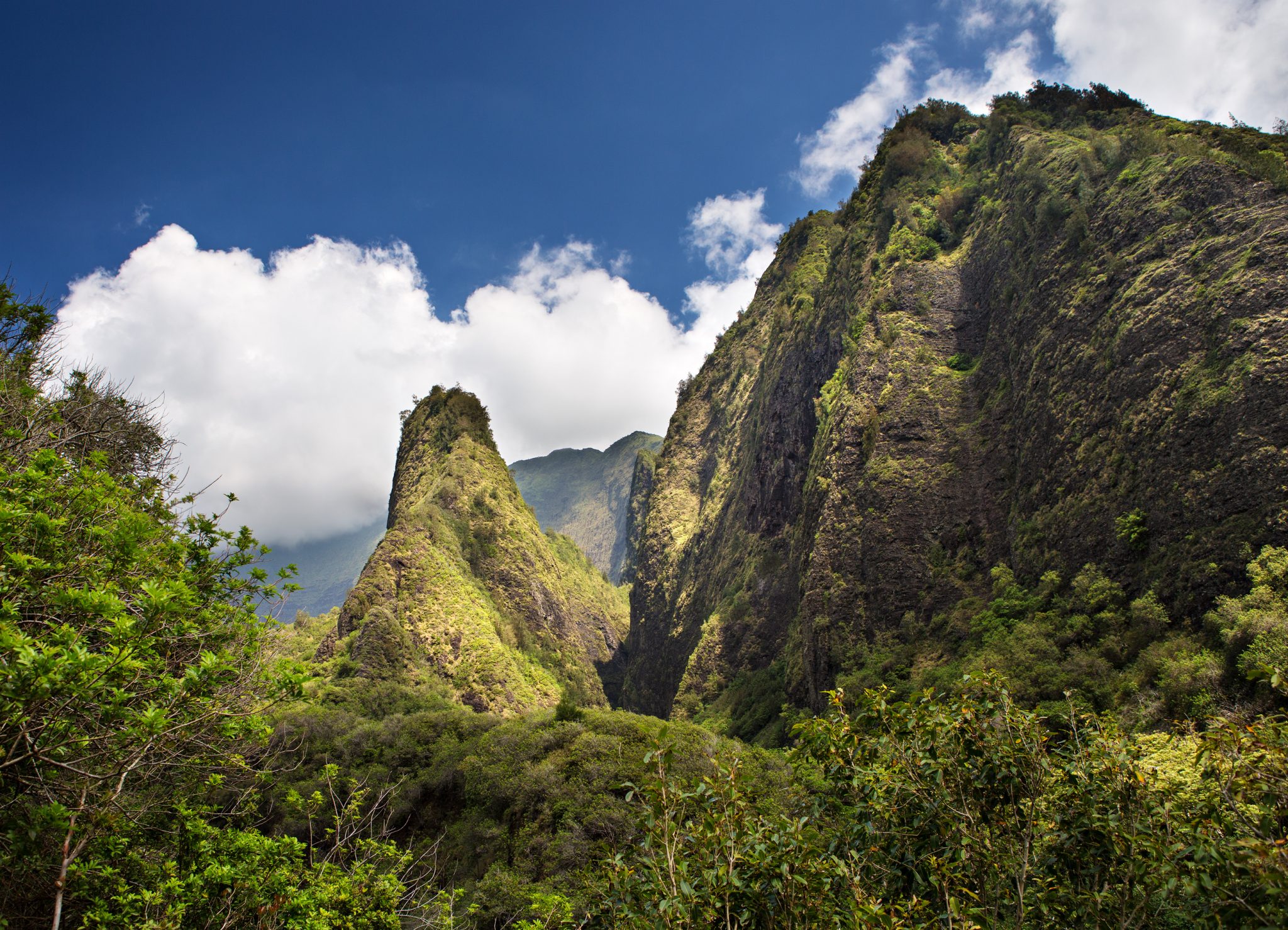15 Maui Facts Discover The Beauty Of The Hawaiian Island 8235