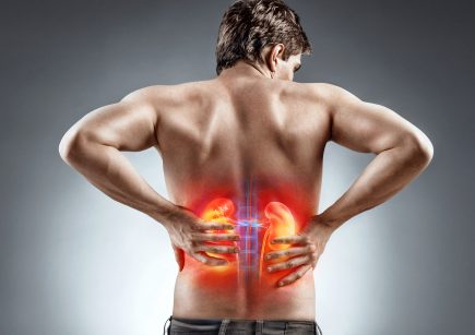 Human Body Facts Articles - Facts