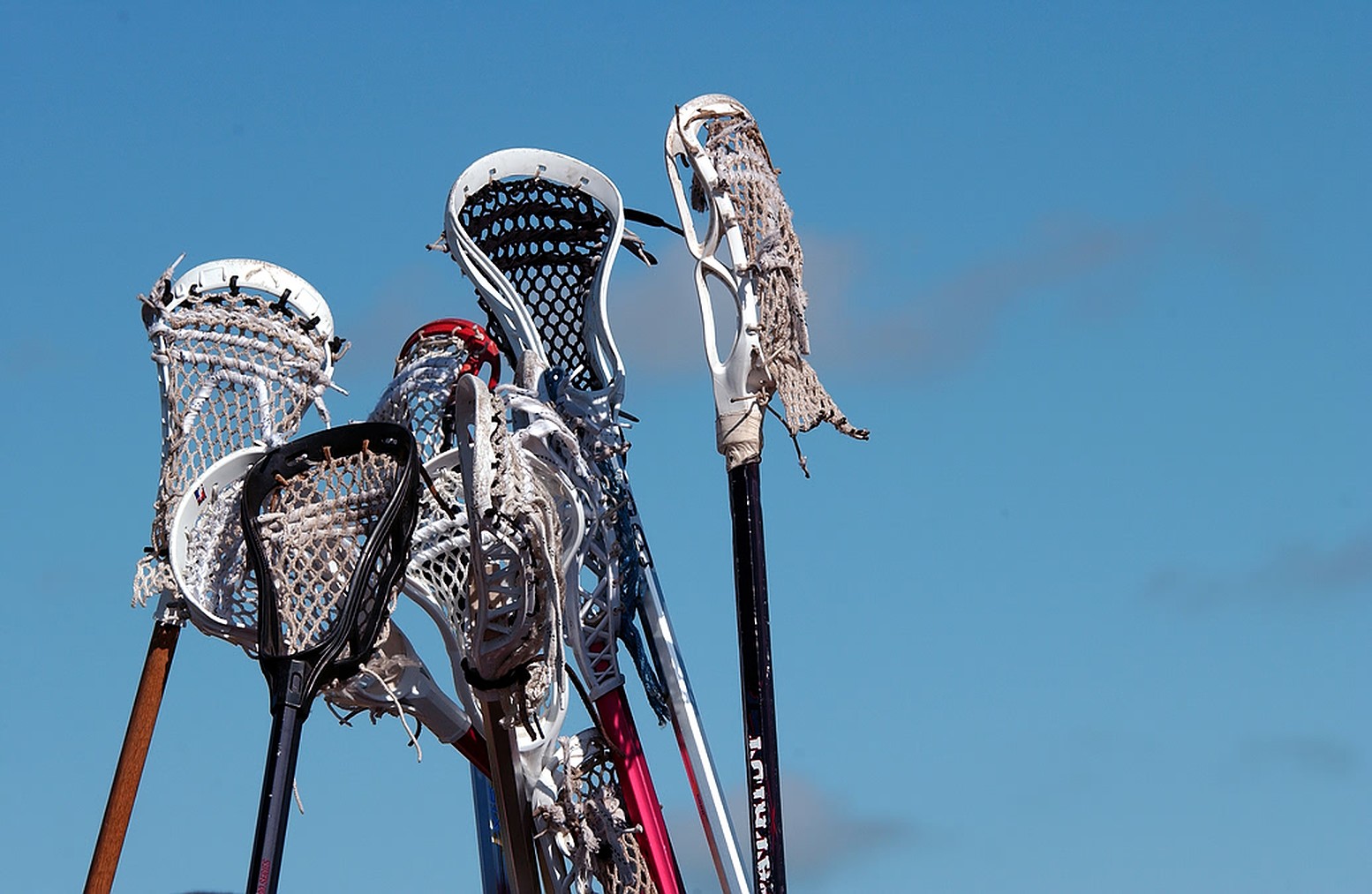 Lacrosse sticks