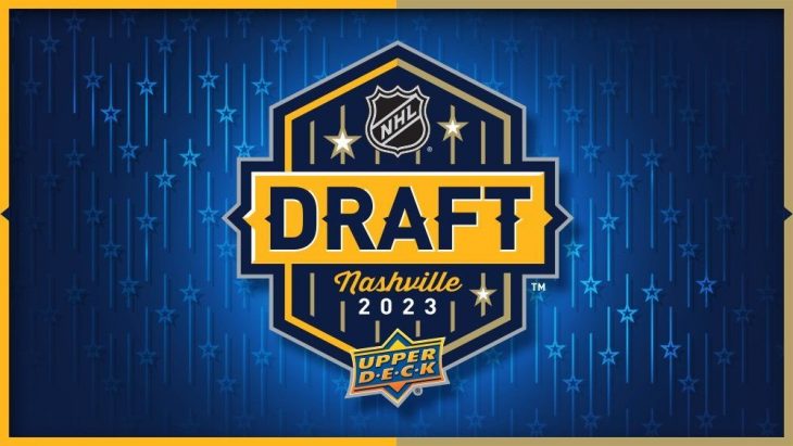 23 NHL Draft Facts Hockey Fans Need To Know - Facts.net