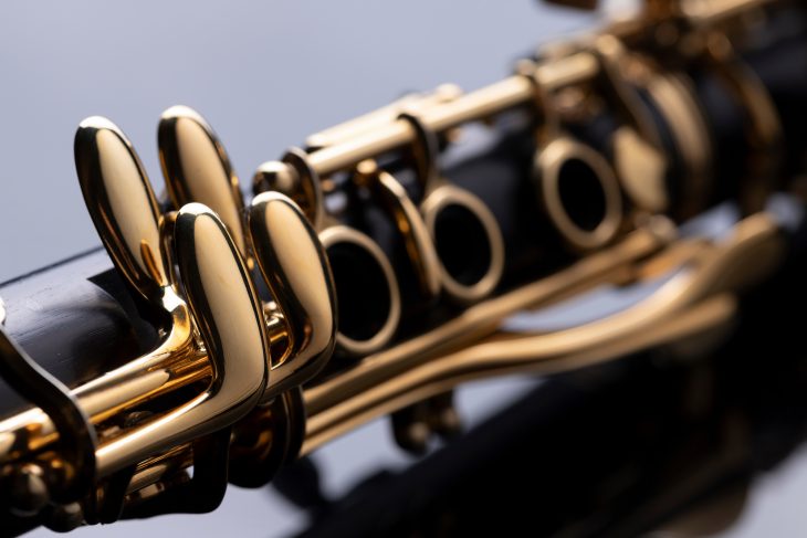 10 Clarinet Facts: Mechanics and Versatility of this Popular Woodwind ...
