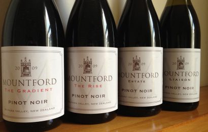 14 Pinot Noir Nutrition Facts You Should Know 
