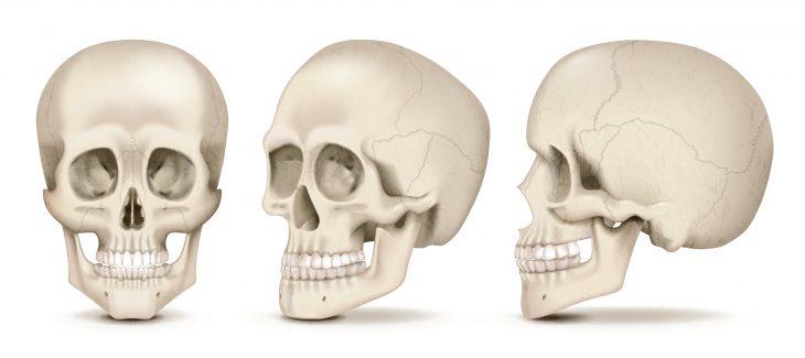 Scary Science Skulls