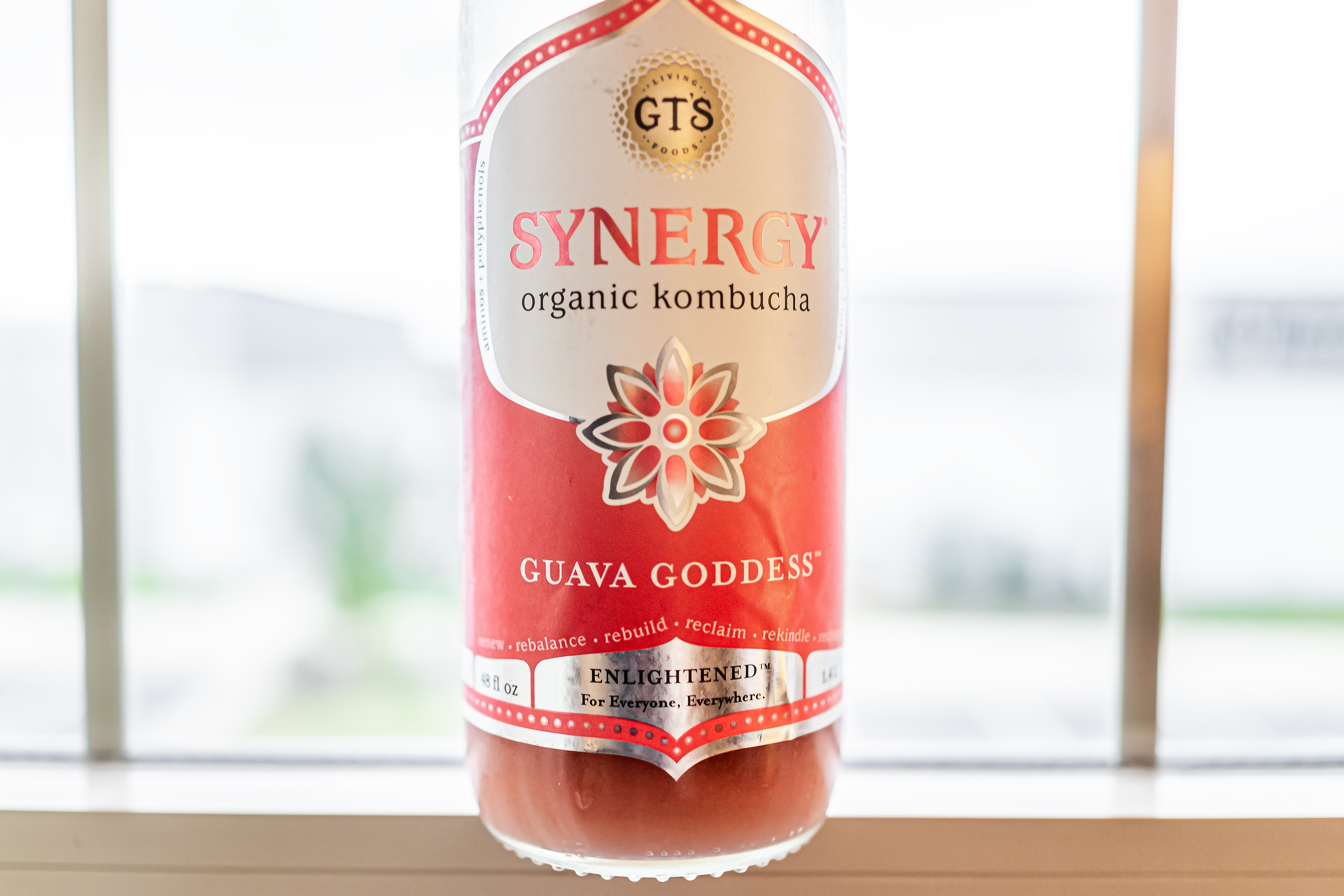 Synergy Kombucha Guava