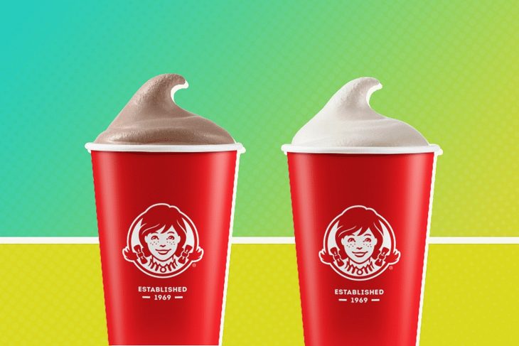 15 Wendy's Frosty Nutrition Facts - Facts.net