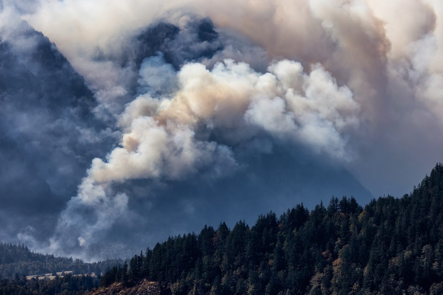 20 Canadian Wildfires Facts: Impact and Management of Wildfires in ...