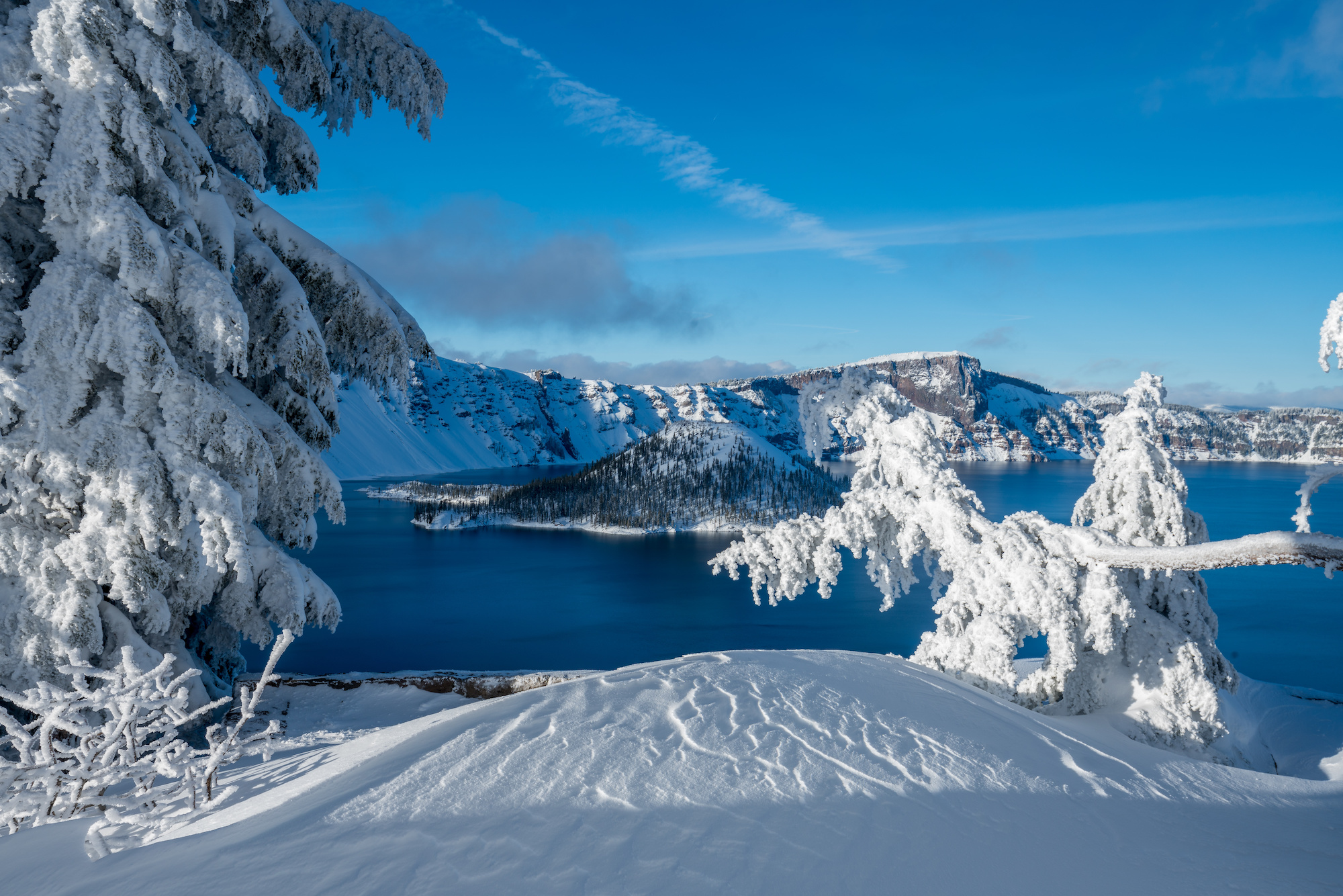 Winter Forest Crater Lake