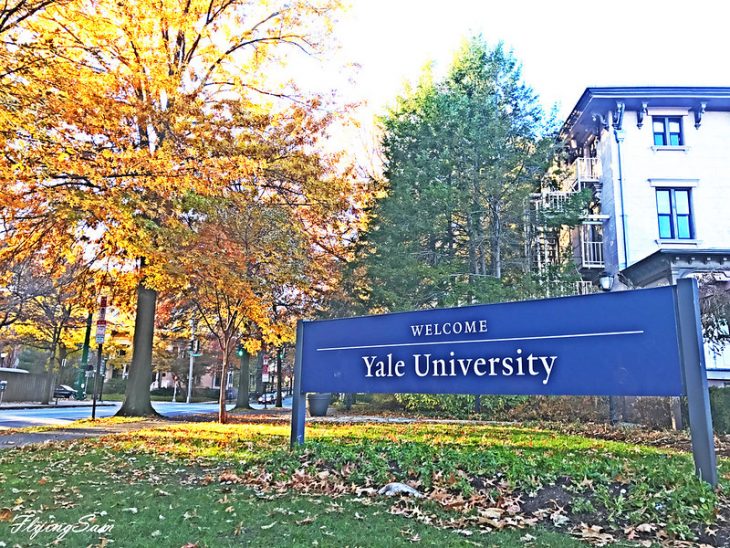 Yale University Sign