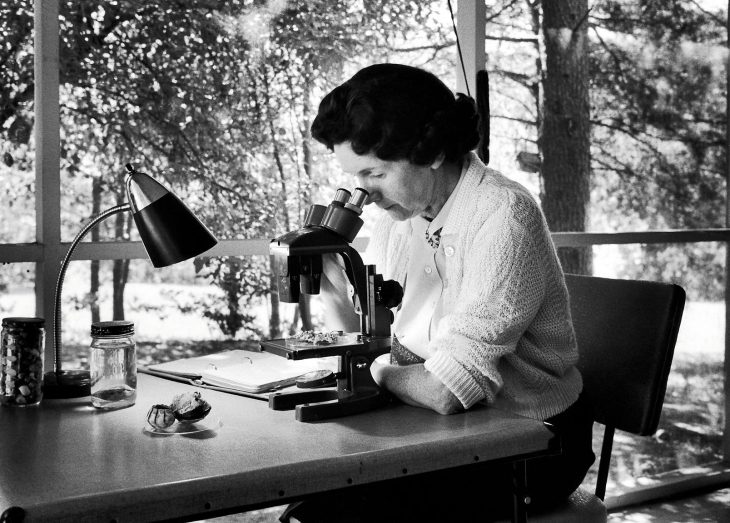 black and white image rachel carson with miscroscope