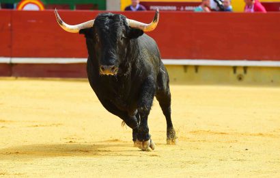 15 Facts About Bulls And Bullfighting 
