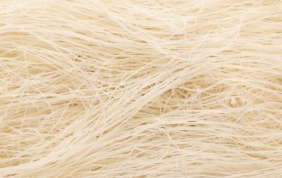 10 Vermicelli Nutrition Facts of this Delectable Pasta Alternative 