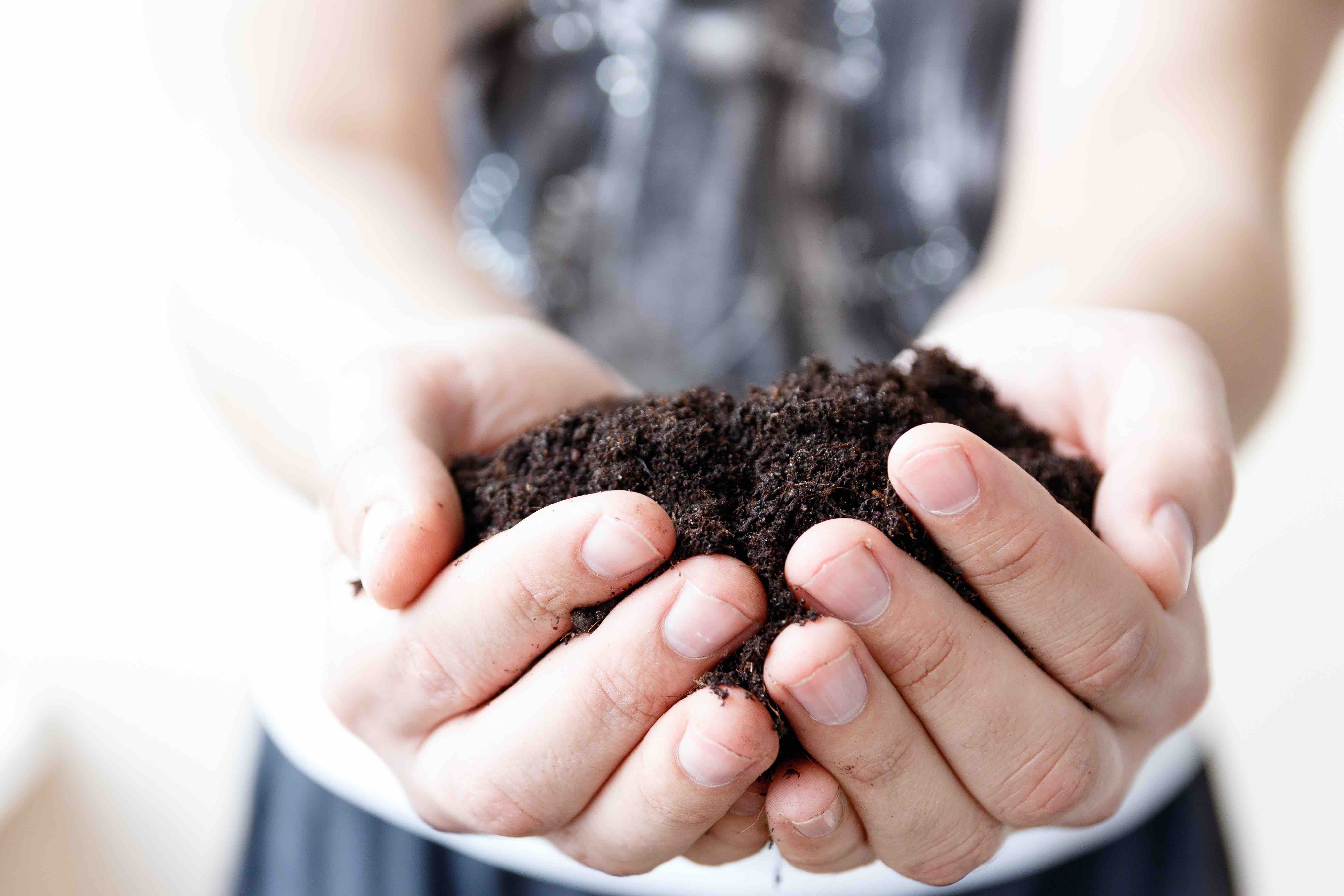 18 Facts About Composting The Art of Natural Recycling