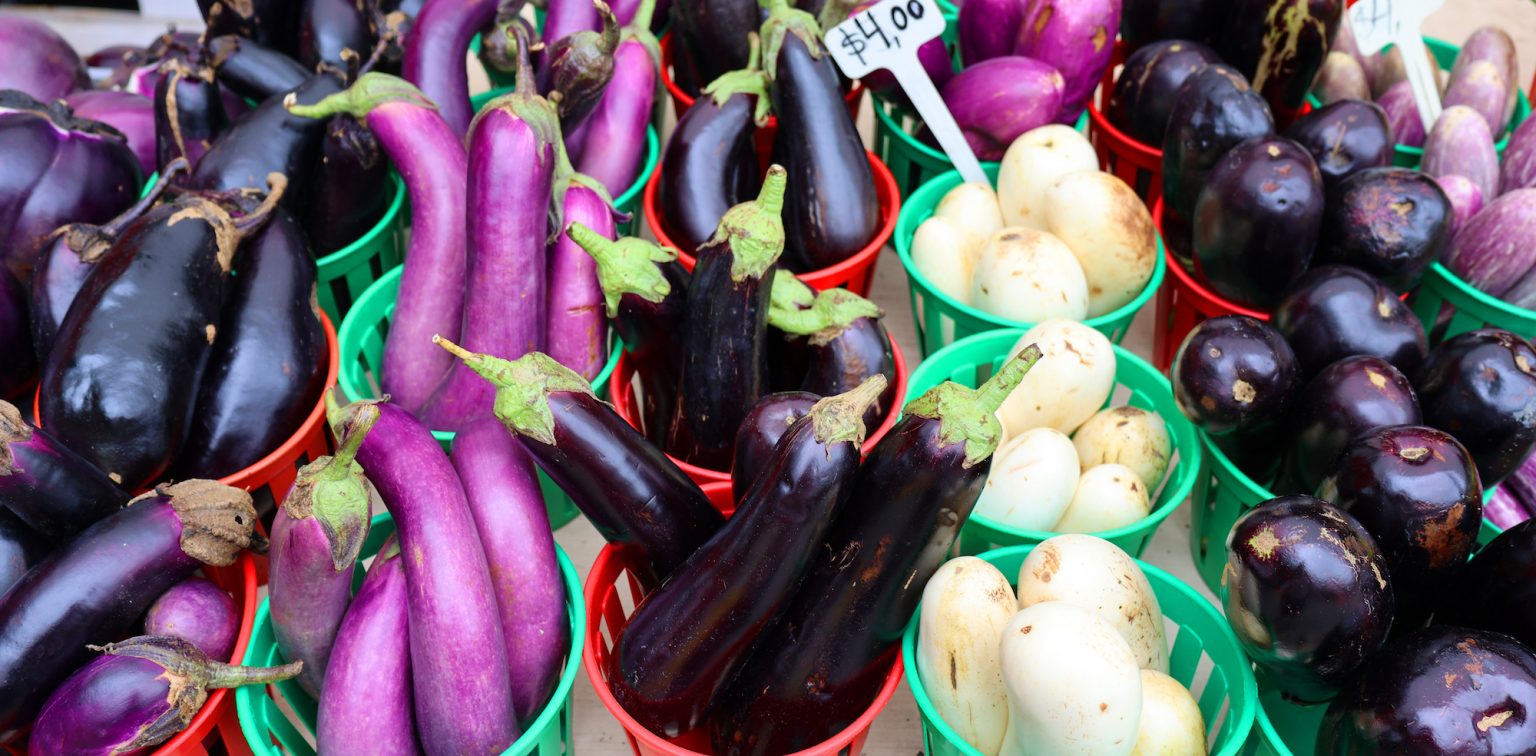 Eggplant Revealed: 15 Fascinating Facts about this Versatile Vegetable ...