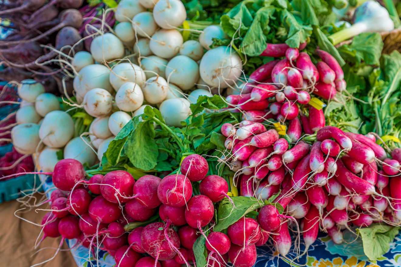 15 Radish Facts Exploring the Versatile Root Vegetable