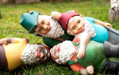 Gnome Facts 11 Fascinating Insights into these Mythical Garden Creatures 