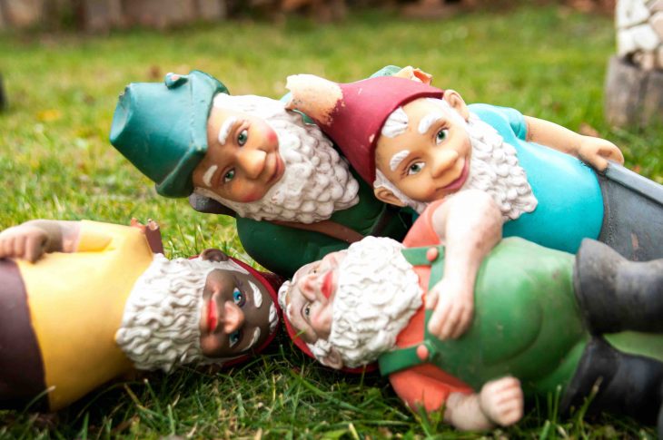 dwarfs on the grass