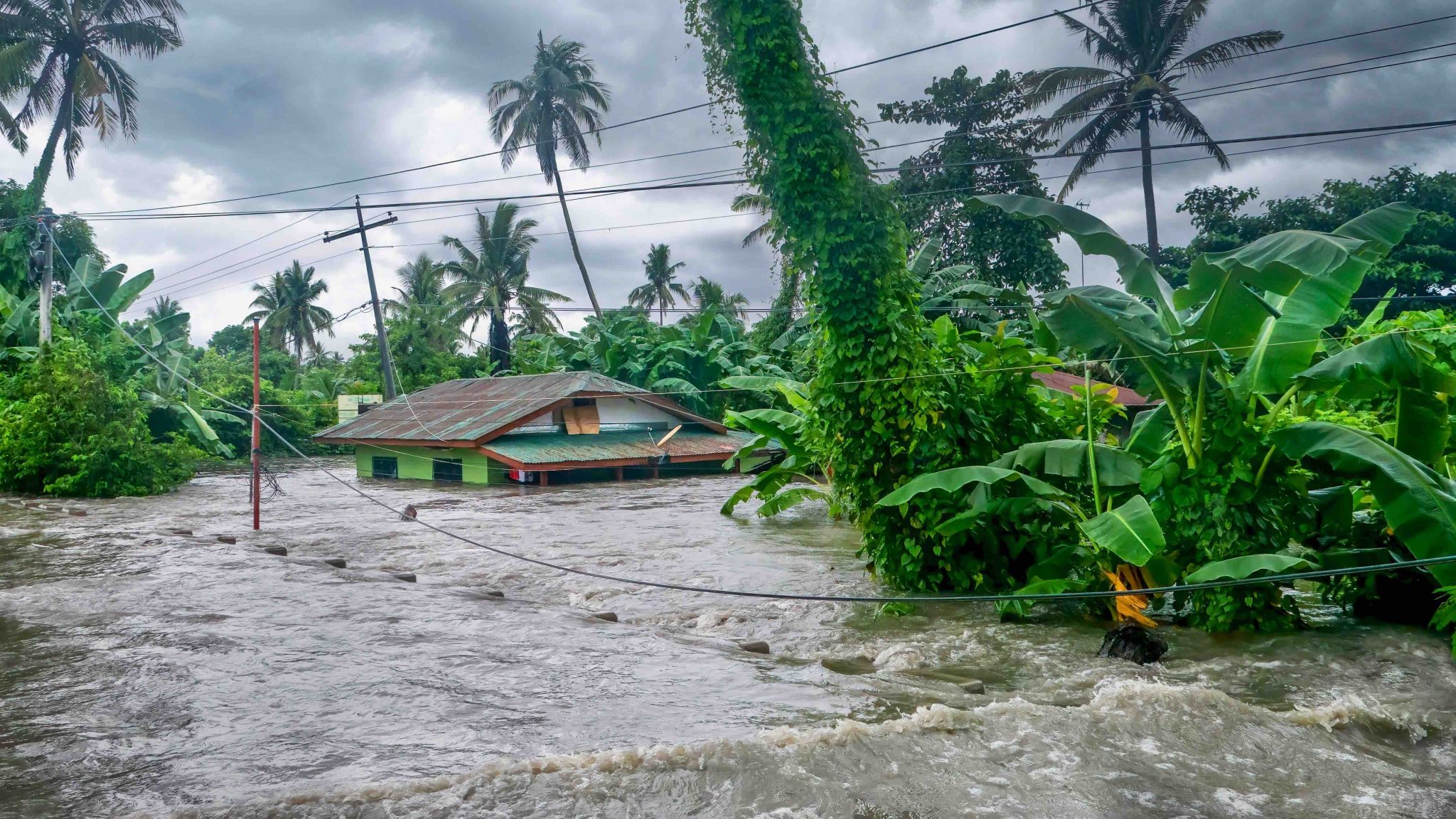 10 Monsoon Facts: Unveiling the Mysteries of Rainy Seasons- Facts.net